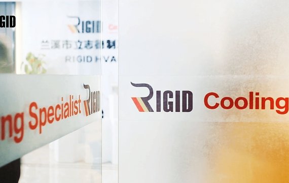 RIGID-Company (1)