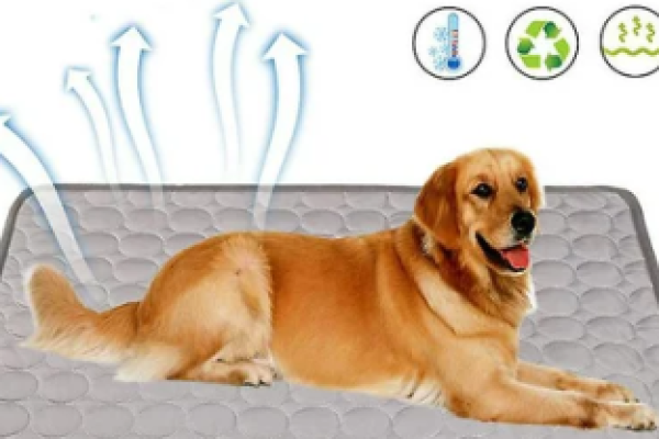 pets-cooling-chiller-e1690945087922